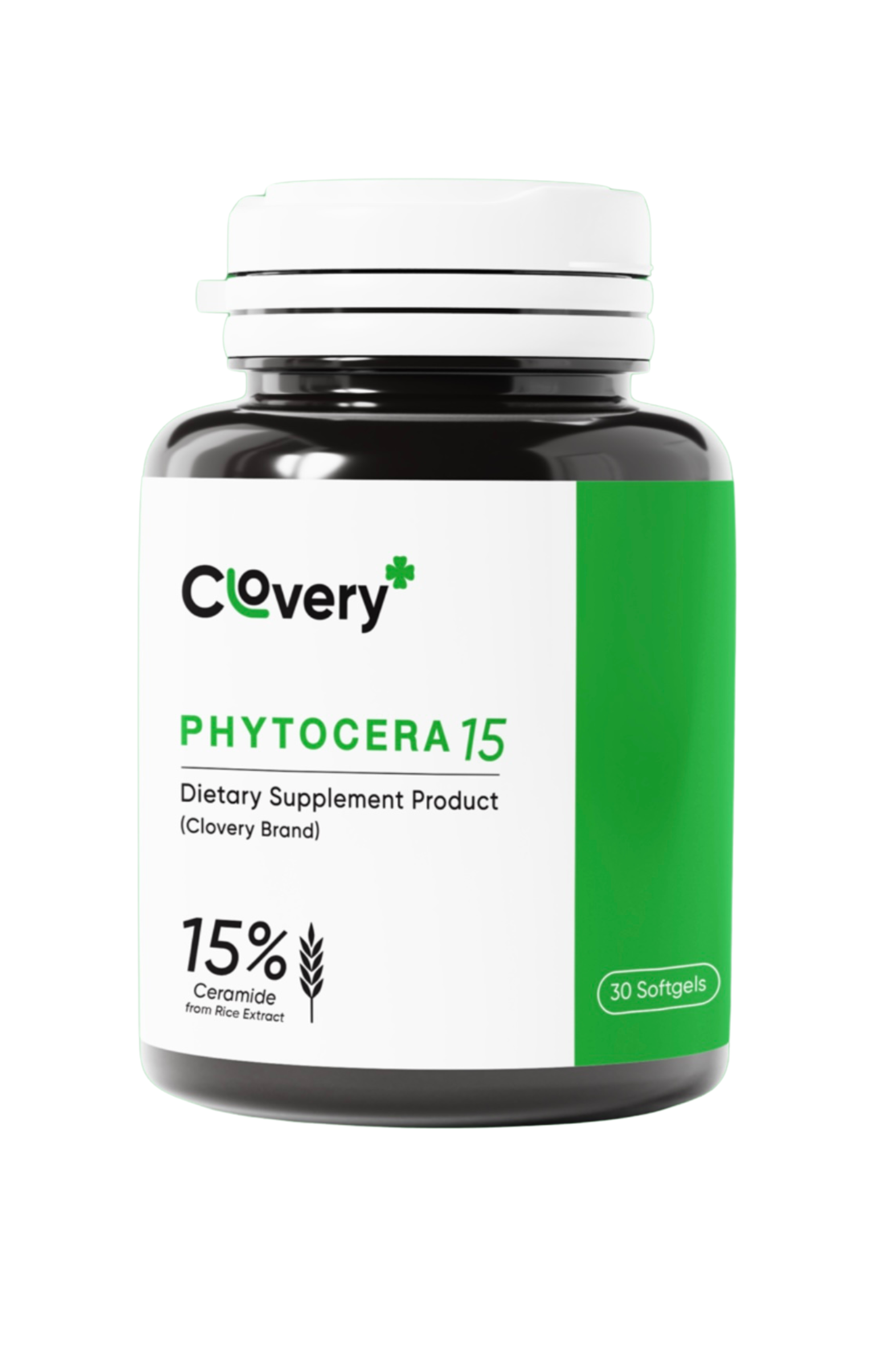 PHYTOCERA15